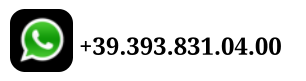 +39.393.831.04.00